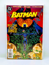 Load image into Gallery viewer, Batman #608-#619 Bundle "Hush Story Arc"