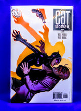 Load image into Gallery viewer, Cat Woman ( Adam Hughes collection)
