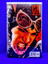Load image into Gallery viewer, Cat Woman ( Adam Hughes collection)
