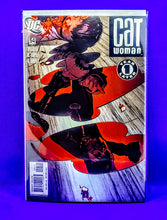 Load image into Gallery viewer, Cat Woman ( Adam Hughes collection)