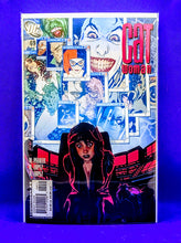 Load image into Gallery viewer, Cat Woman ( Adam Hughes collection)