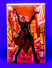 Load image into Gallery viewer, Cat Woman ( Adam Hughes collection)