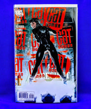 Load image into Gallery viewer, Cat Woman ( Adam Hughes collection)