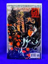 Load image into Gallery viewer, Cat Woman ( Adam Hughes collection)