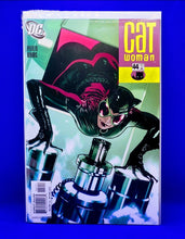 Load image into Gallery viewer, Cat Woman ( Adam Hughes collection)