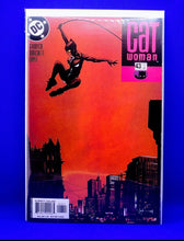 Load image into Gallery viewer, Cat Woman ( Adam Hughes collection)