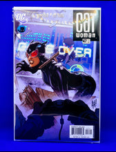 Load image into Gallery viewer, Cat Woman ( Adam Hughes collection)