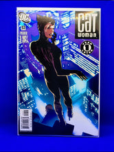 Load image into Gallery viewer, Cat Woman ( Adam Hughes collection)