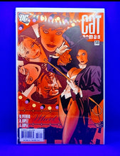 Load image into Gallery viewer, Cat Woman ( Adam Hughes collection)