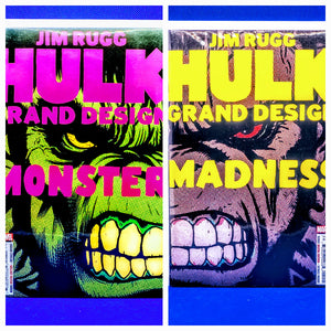 The Hulk: Monster & Madnesss