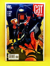 Load image into Gallery viewer, Cat Woman ( Adam Hughes collection)
