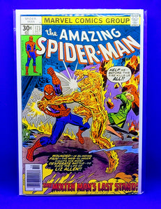 The Amazing Spiderman #173