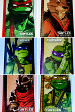 Load image into Gallery viewer, Teenage Mutant Turtles: IDW Collection
