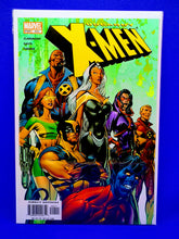 Load image into Gallery viewer, The Uncanny X-Men #442 &amp; #447 Bundle
