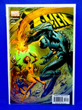 Load image into Gallery viewer, The Uncanny X-Men #442 &amp; #447 Bundle
