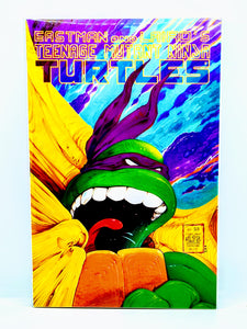 Teenage Mutant Ninja Turtles #22 VOL.1