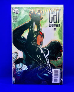 Cat Woman ( Adam Hughes collection)